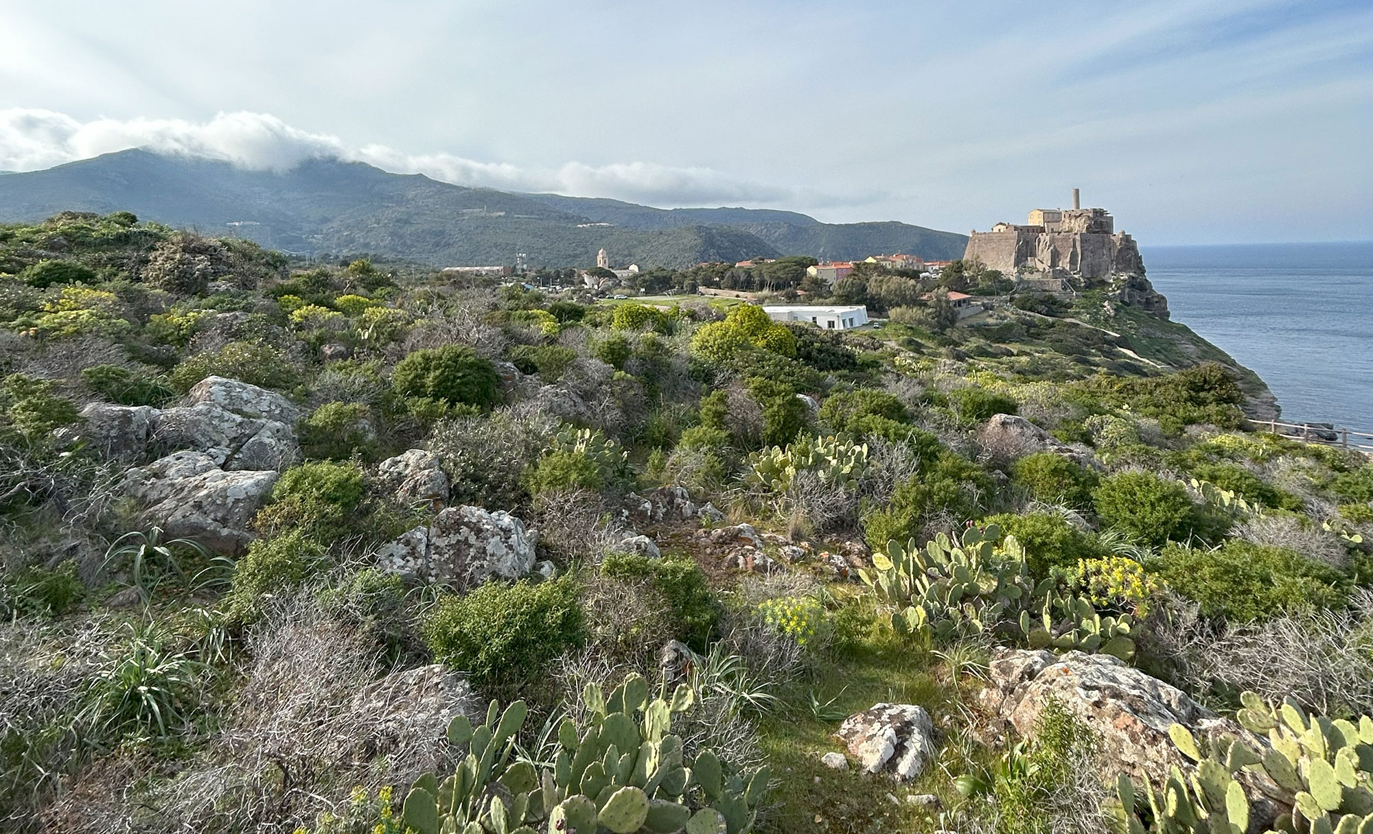 AREA COSTIERA SULL'ISOLA DI CAPRAIA | ph. Lorenzo Rossi | © ©FAI