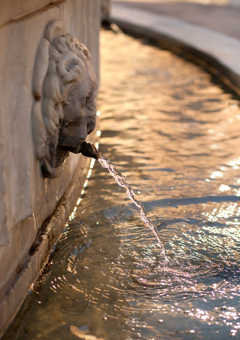 FONTANA DI PIAZZA ANTELMINELLI  | ph. FAI | © FAI - Fondo Ambiente Italiano