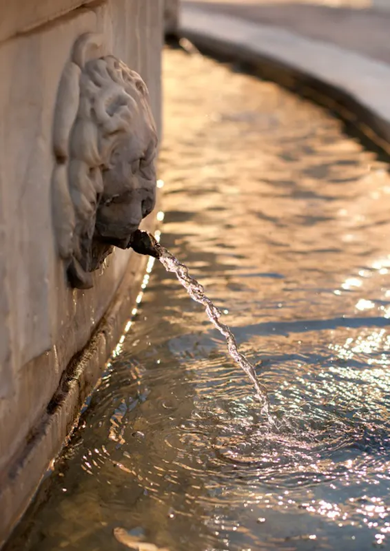 FONTANA DI PIAZZA ANTELMINELLI | ph. FAI | © FAI - Fondo Ambiente Italiano FONTANA DI PIAZZA ANTELMINELLI | ph. FAI | © FAI - Fondo Ambiente Italiano
