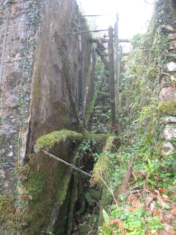 CANALE DELLA RADICE CANALE DELLA RADICE