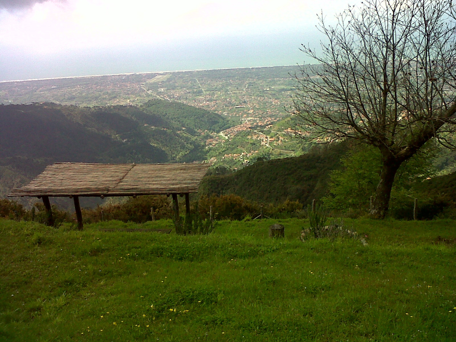 PASQUILIO