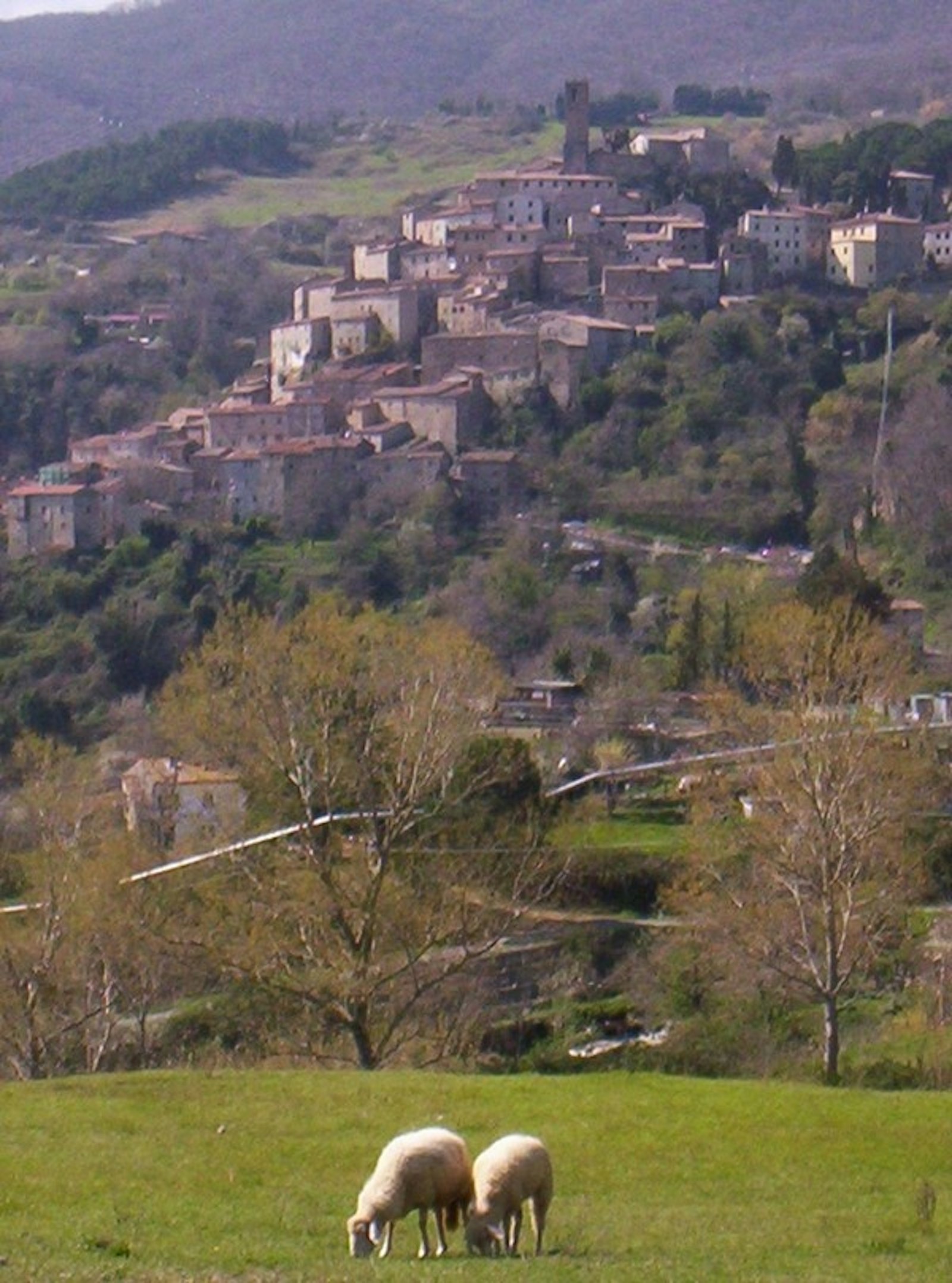 CASTELNUOVO IN VAL DI CECINA I Luoghi del Cuore FAI CASTELNUOVO IN VAL DI CECINA I Luoghi del Cuore FAI