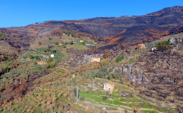 MONTE PISANO