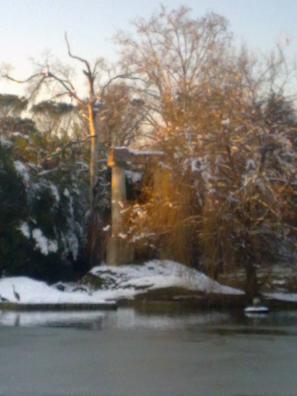 PARCO DI VILLA PUCCINI PARCO DI VILLA PUCCINI