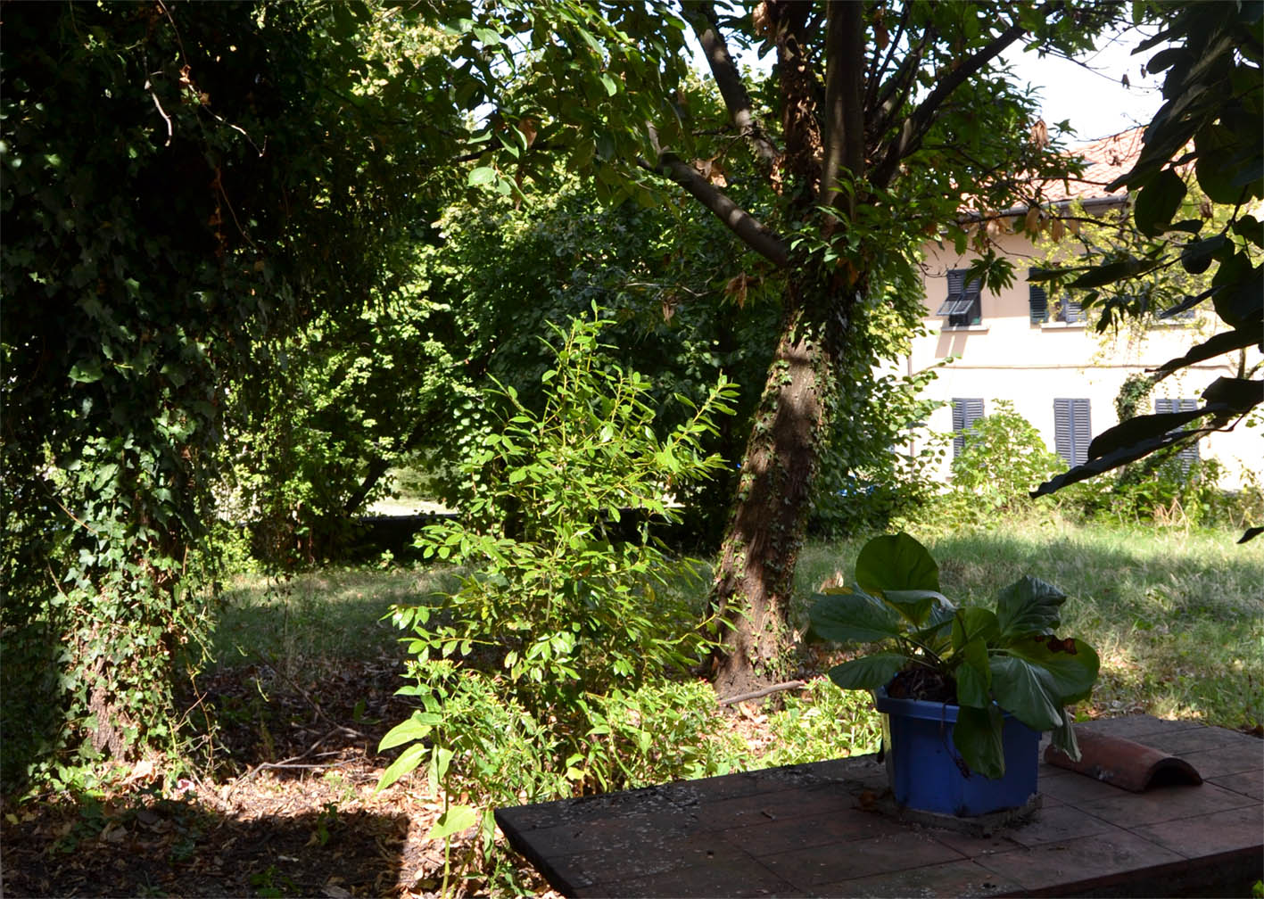 CHIESA DI SAN JACOPO IN CASTELLARE