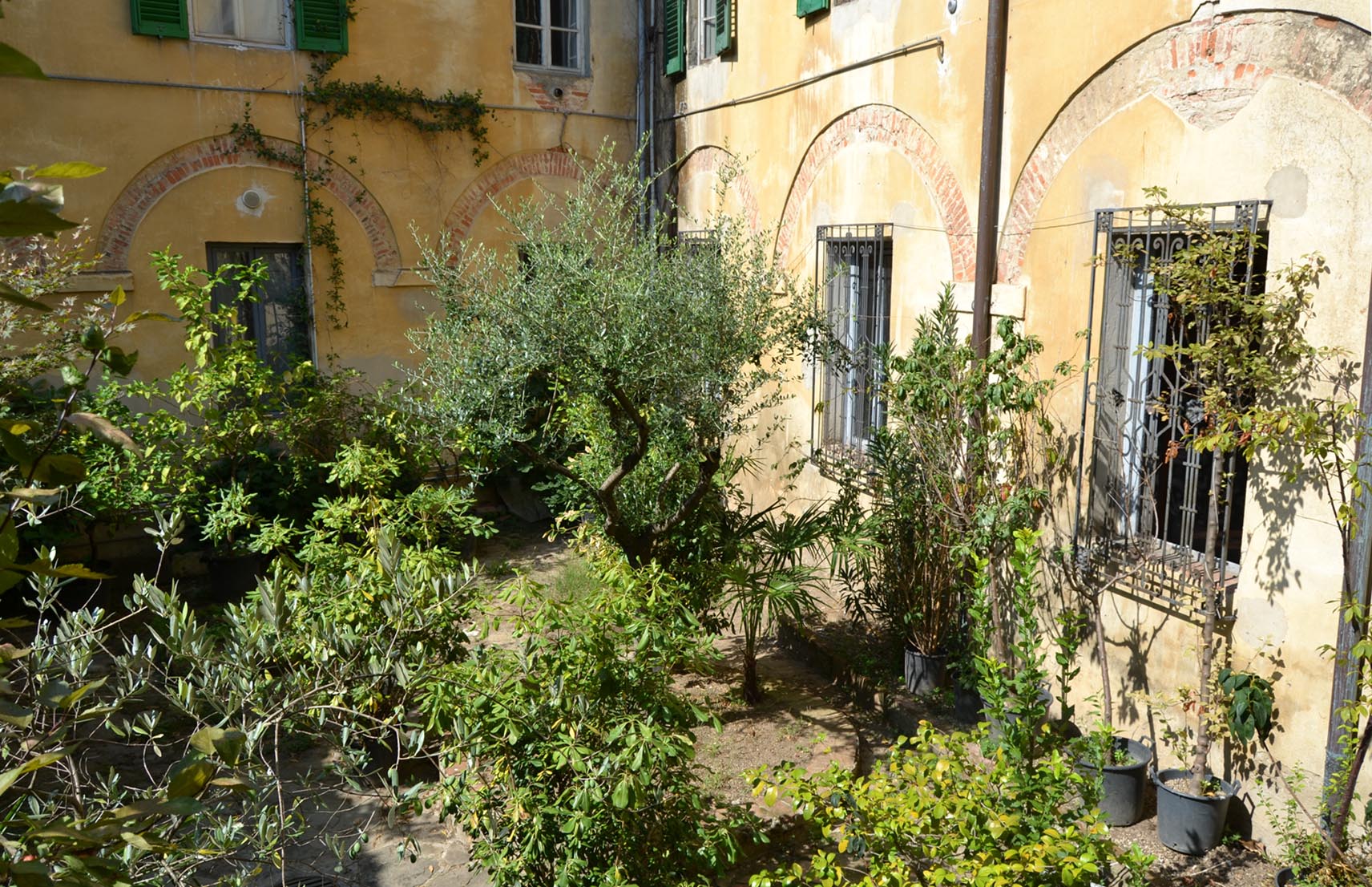 CHIOSTRO CHIESA SANT'ANDREA | ph. FAI | © FAI - Fondo Ambiente Italiano