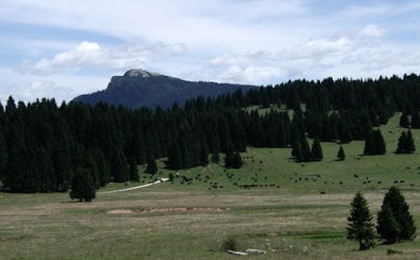 MALGA MILLEGROBBE