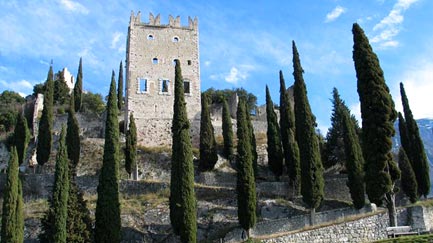CASTELLO E OLIVAIA