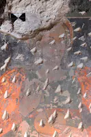 Luoghi del Cuore- Ossana Luoghi del Cuore- Ossana