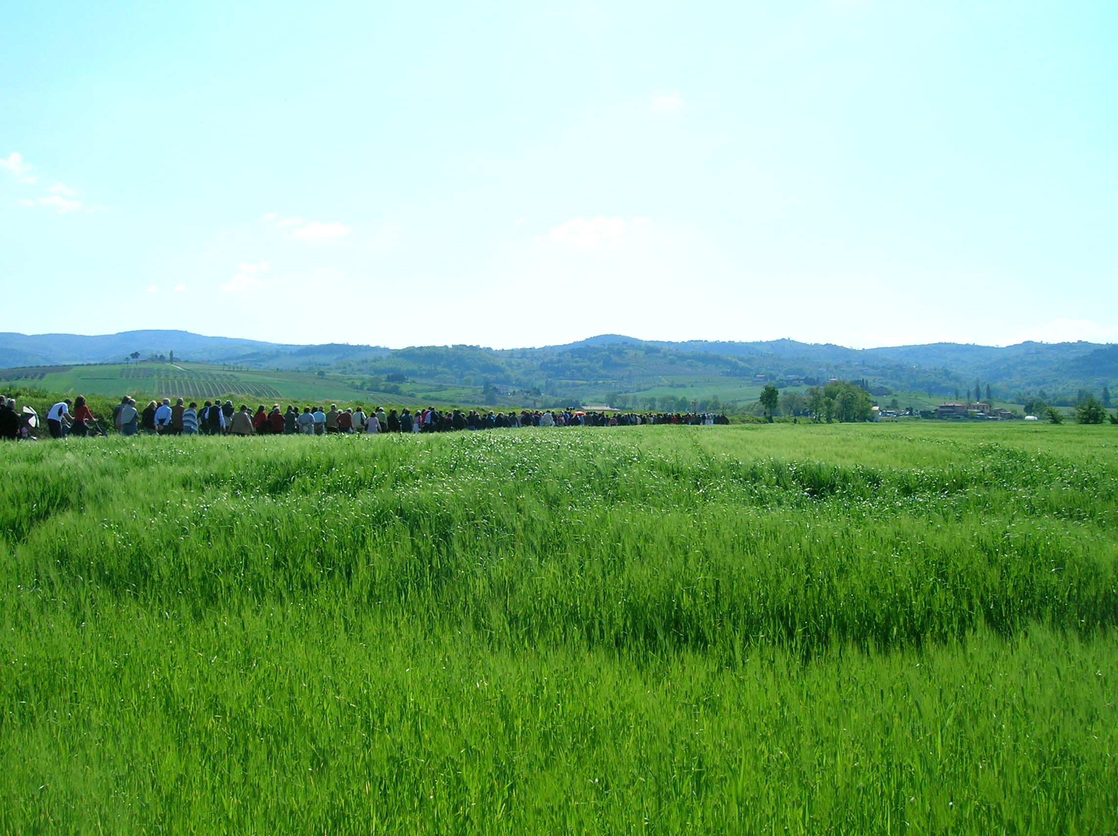 PIANDARCA DELLA PREDICA AGLI UCCELLI