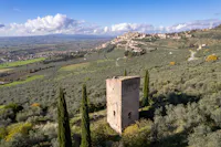 sentiero degli ulivi