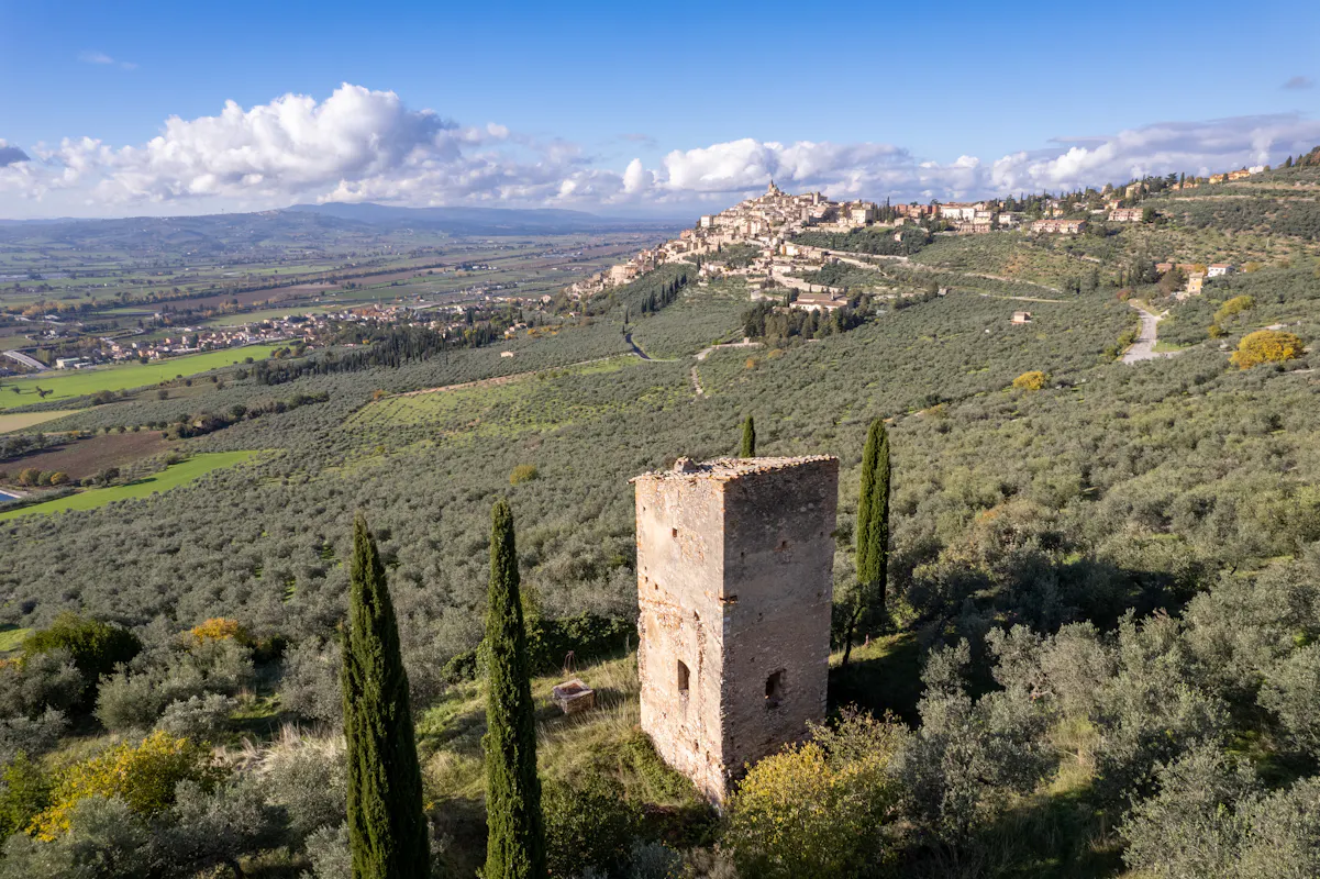 sentiero degli ulivi sentiero degli ulivi