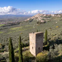 sentiero degli ulivi sentiero degli ulivi