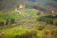 sentiero degli ulivi