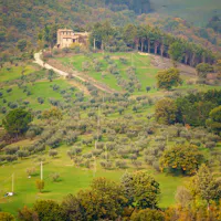 sentiero degli ulivi sentiero degli ulivi