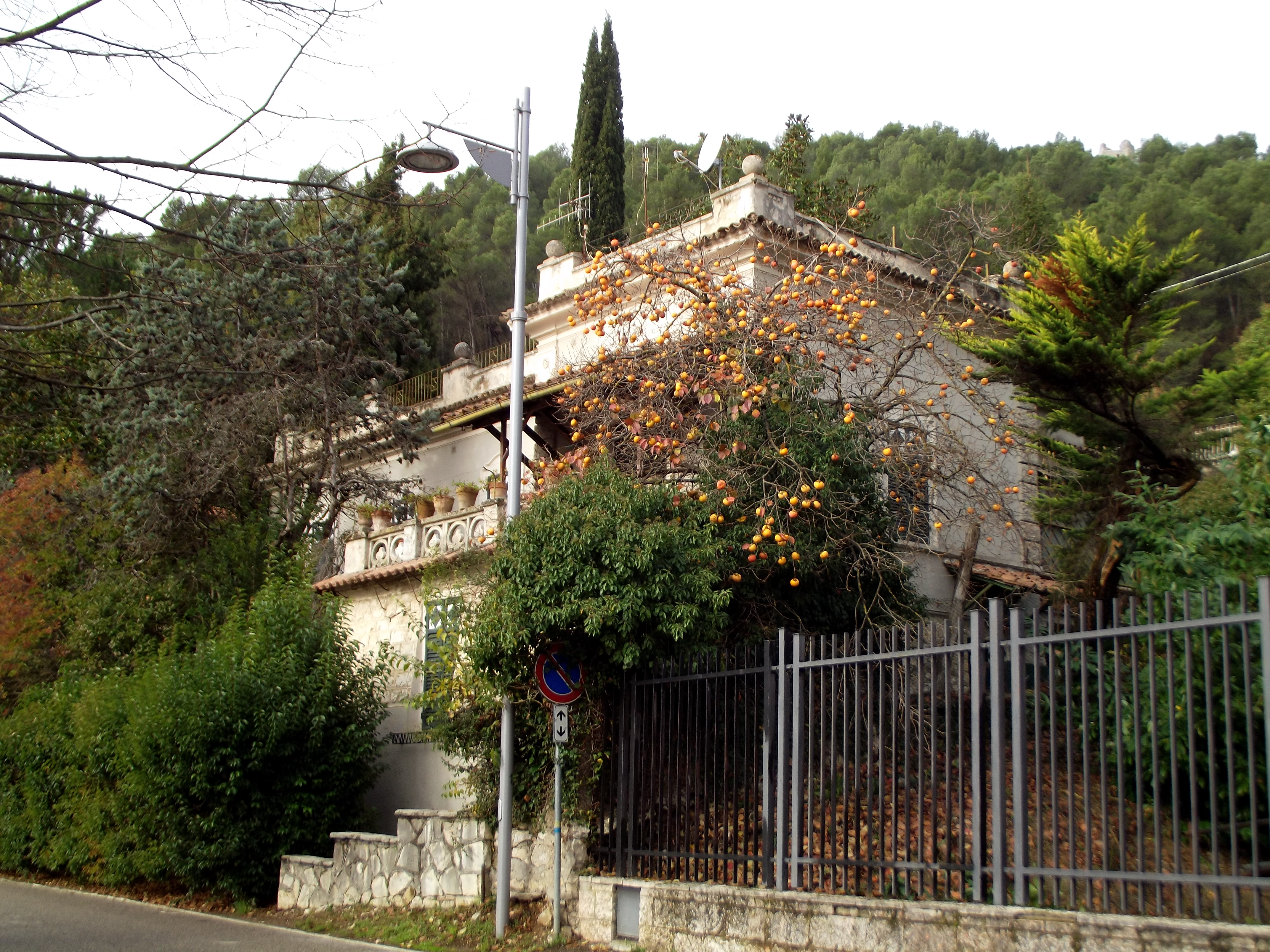 VILLA MANINI  E  SCUOLA ELEMENTARE-PIEDILUCO