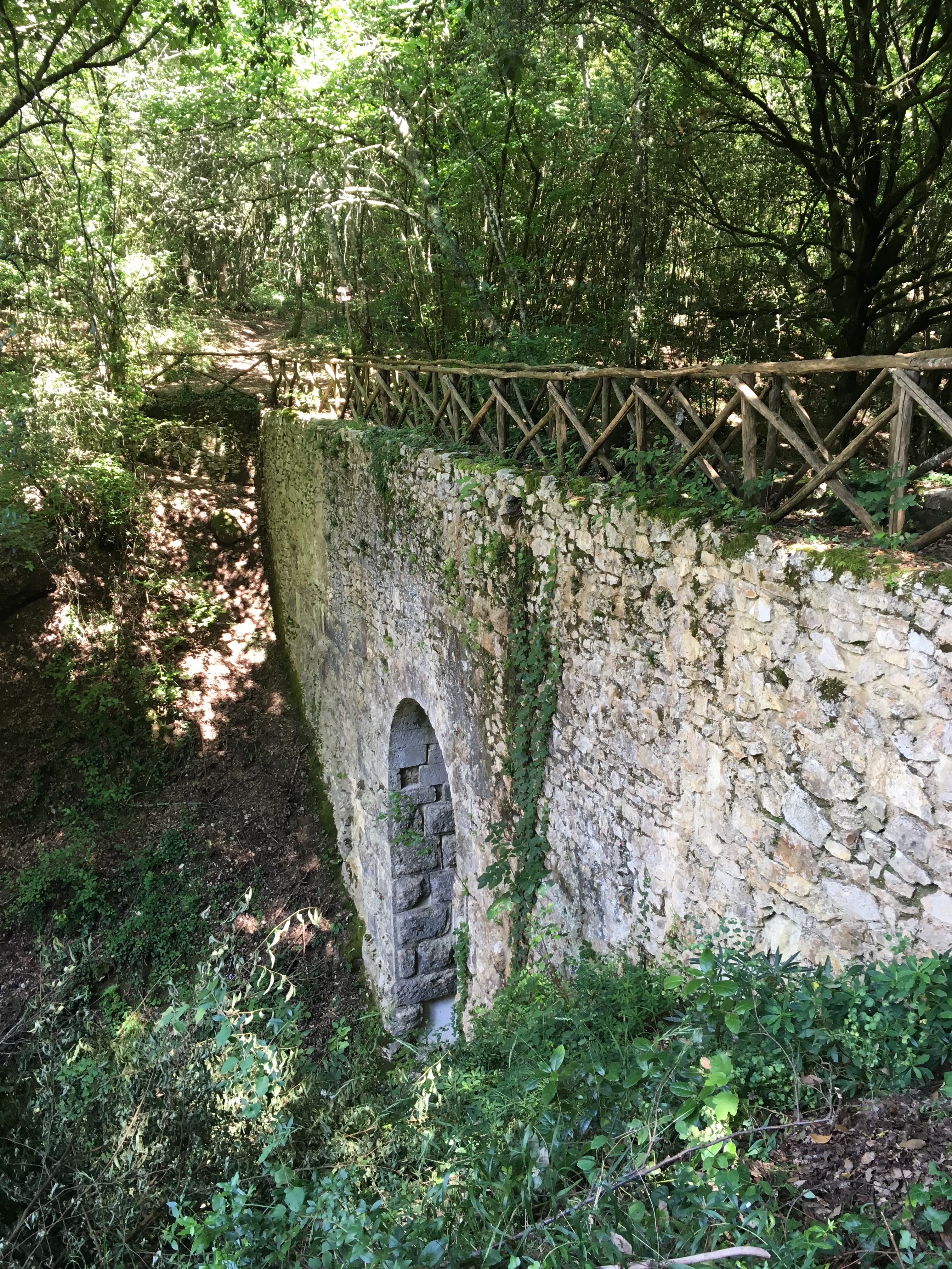 PONTE CARDONA