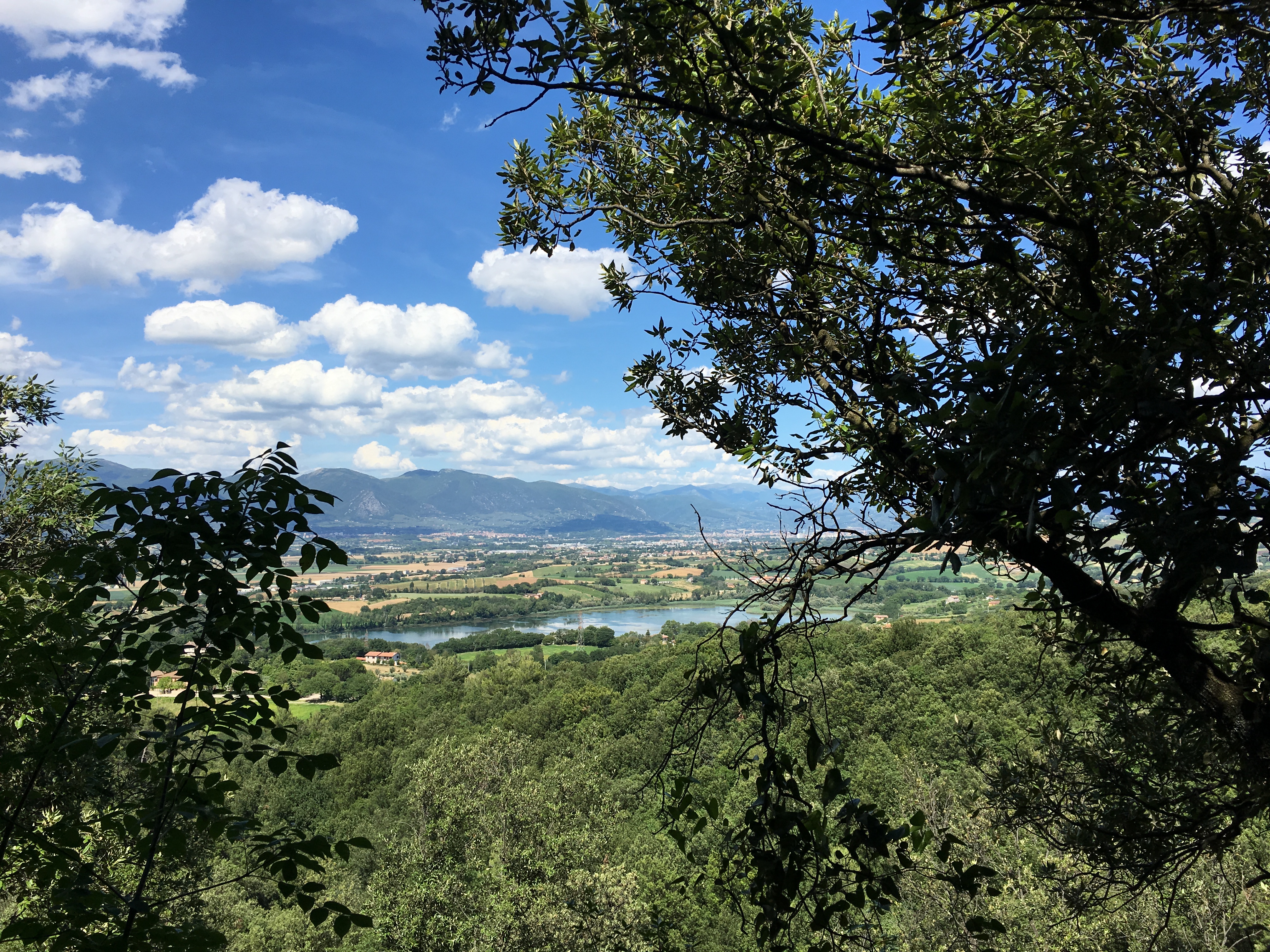 BOSCO DI CARDONA