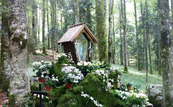 FORESTA DEL CANSIGLIO