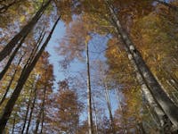 Serrai di Sottoguda-Luoghi del Cuore, SERRAI DI SOTTOGUDA, ROCCA PIETORE (BL ) 