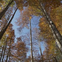 Serrai di Sottoguda-Luoghi del Cuore Serrai di Sottoguda-Luoghi del Cuore, SERRAI DI SOTTOGUDA, ROCCA PIETORE (BL )