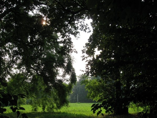 VILLA CITTADELLA GIUSTI DEL GIARDINO