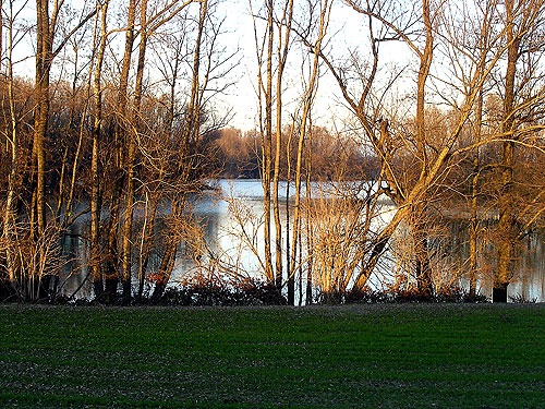 AREA NATURALISTICA DEL TAVELLO