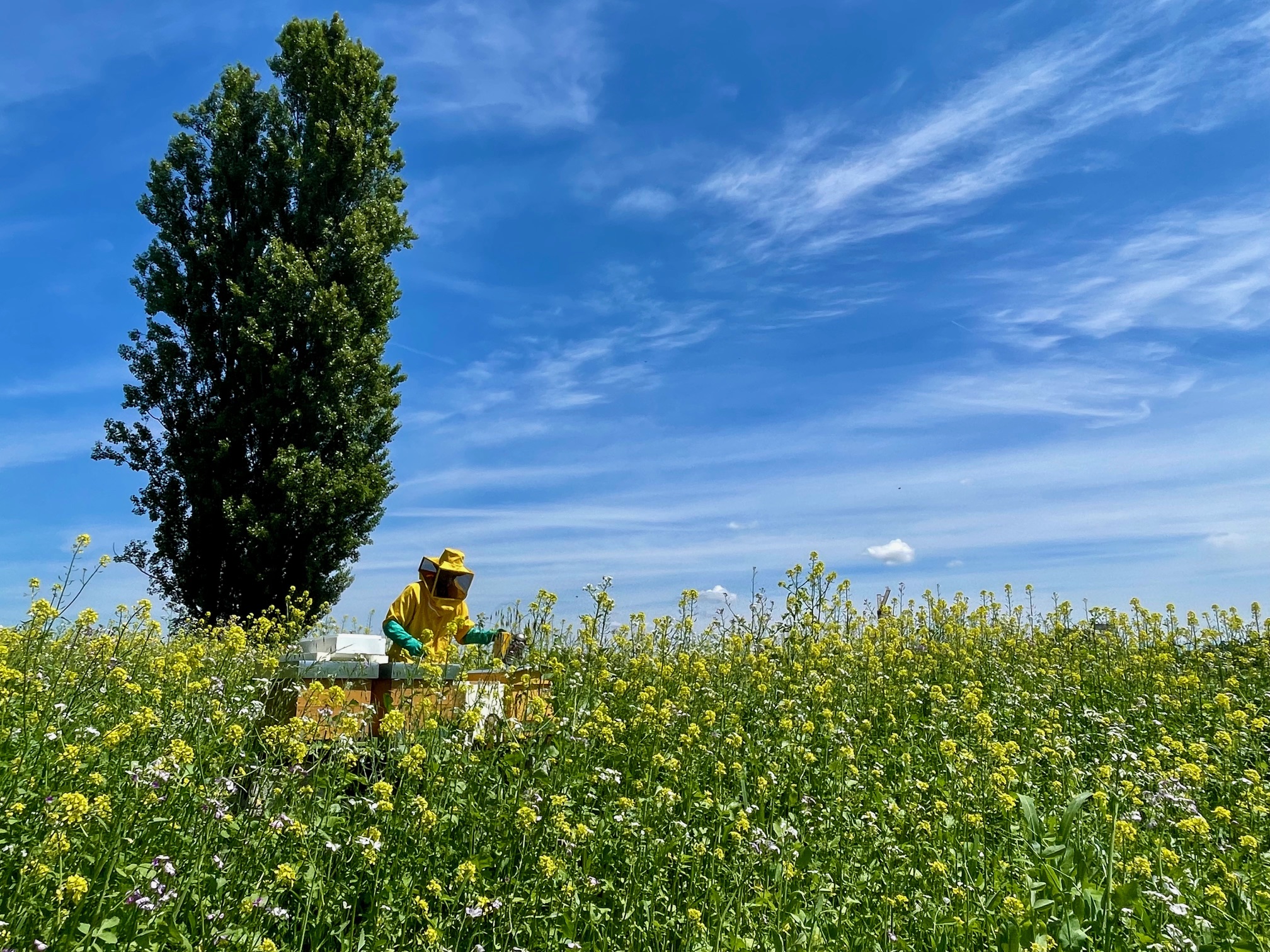 DALLA TERRA ALLA TAVOLA: INNOVAZIONE SOSTENIBILE