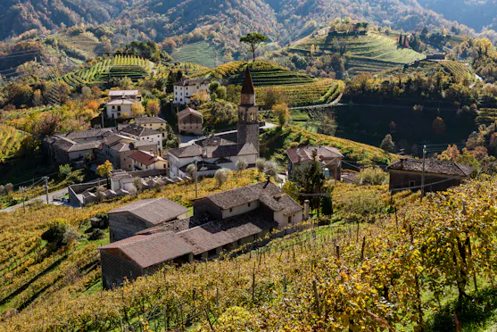 BORGO E VIGNETI DI ROLLE