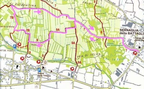I PALU' DEL QUARTIER DEL PIAVE