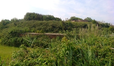 BATTERIA- TERRE PERSE