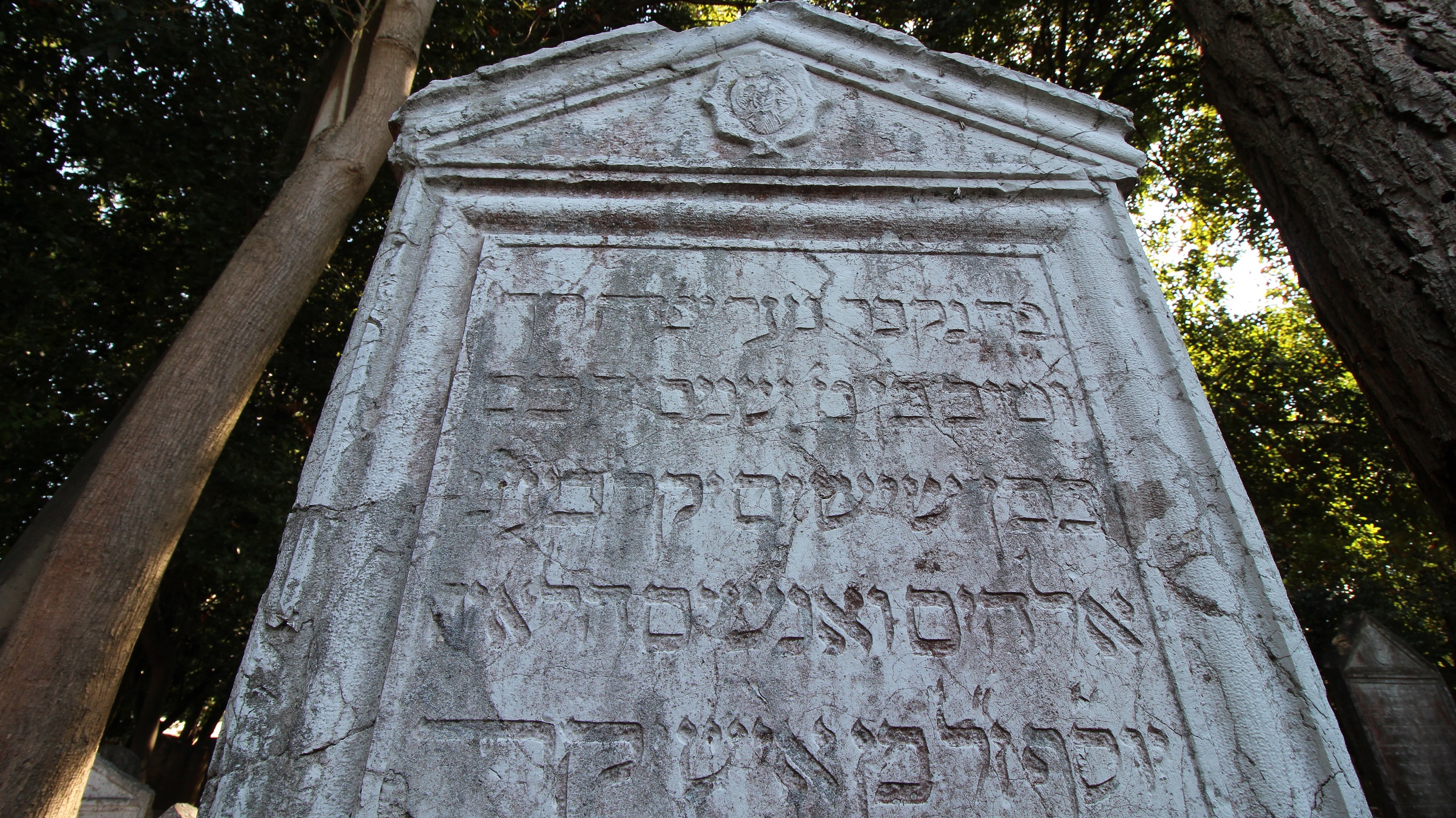 ANTICO CIMITERO EBRAICO DEL LIDO DI VENEZIA 