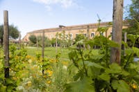 San francesco della vigna San francesco della vigna