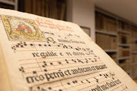 San francesco della vigna San francesco della vigna