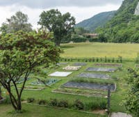 Complesso di Santa Croce Campese Complesso di Santa Croce Campese