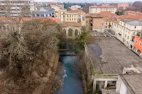 Salvi