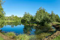 risorgive del bacchiglione