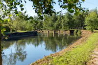 risorgive del bacchiglione