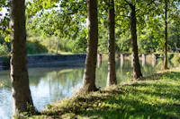 risorgive del bacchiglione