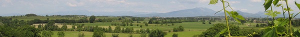 CUSTOZA