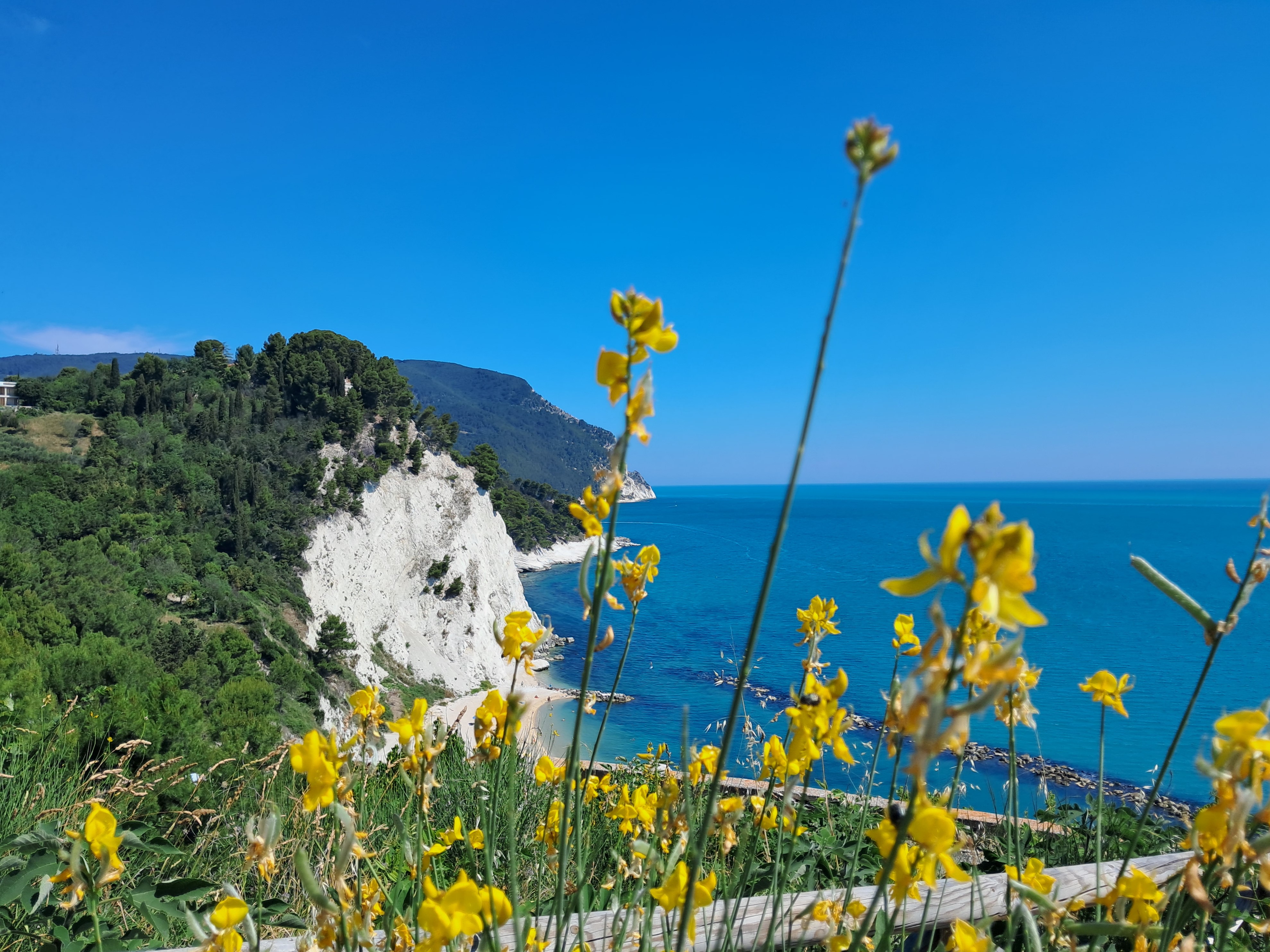 Le Marche a passo lento, tra le colline e il mare