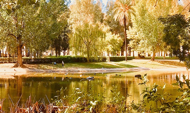 PARCO MOSTRA OLTREMARE
