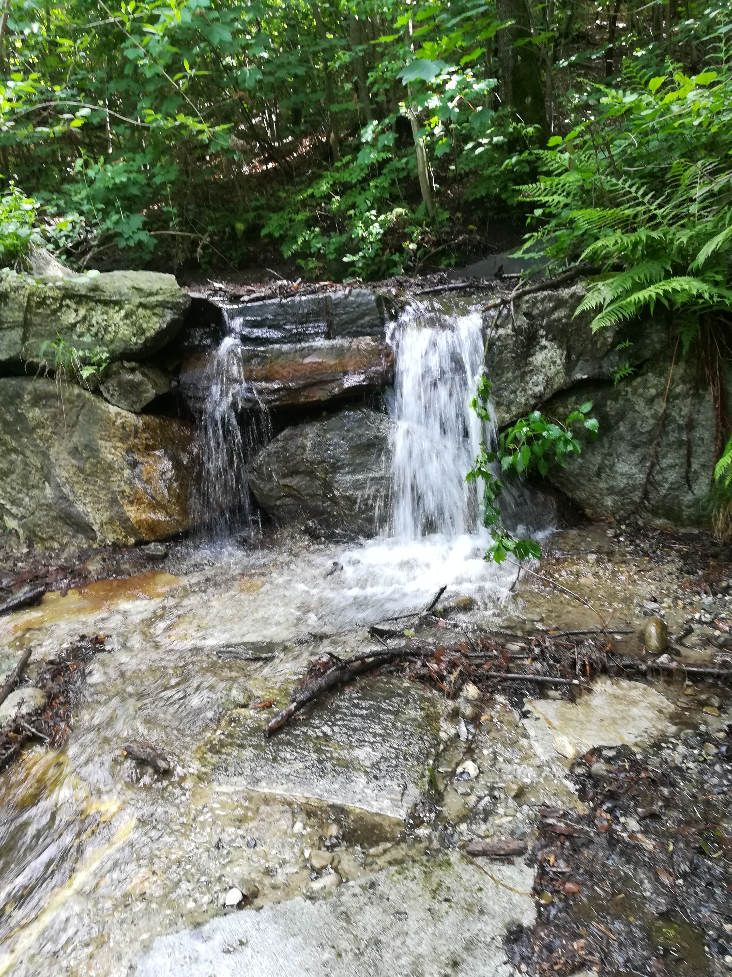 PARCO DELLA SPINA VERDE VILLAGGIO PROTOSTORICO