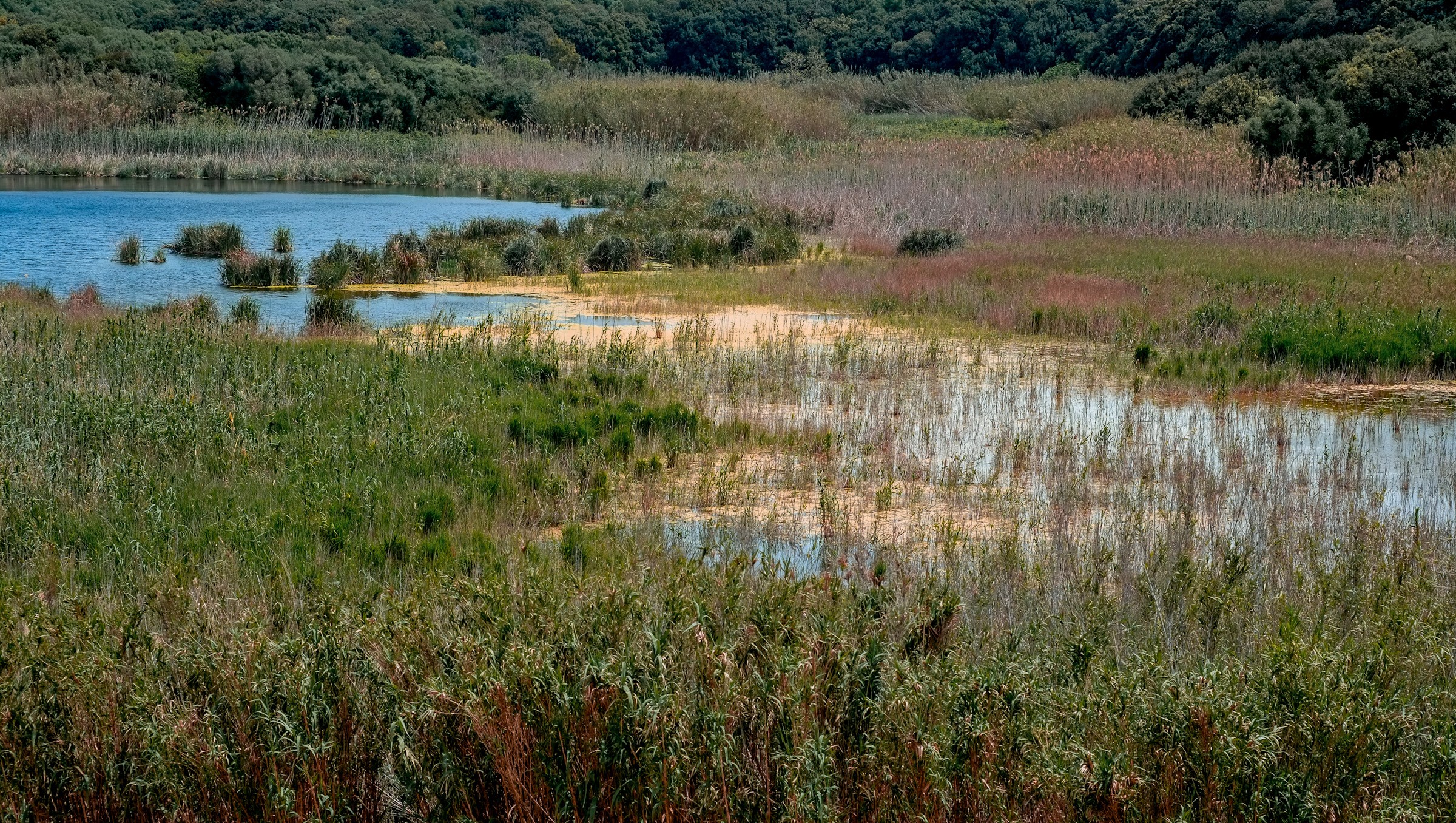 RISERVA NATURALE INTEGRALE LAGO PREOLA E GORGHI TONDI