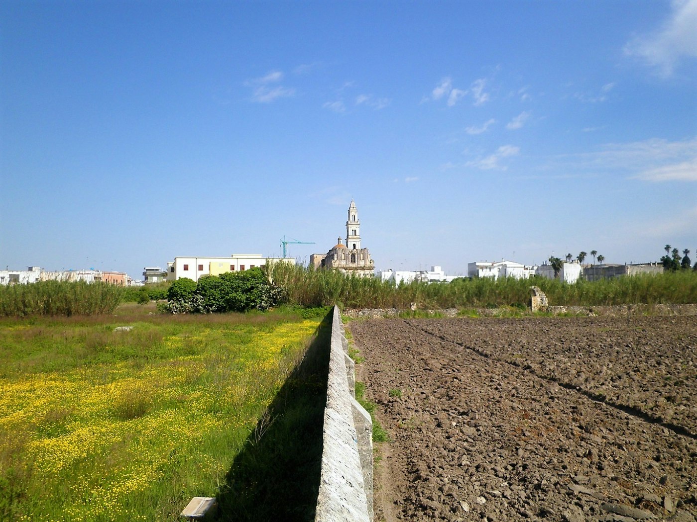 LI PADULI LA TERRA DI LEQUILE Luogo FAI