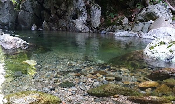 IL GORGOMORO