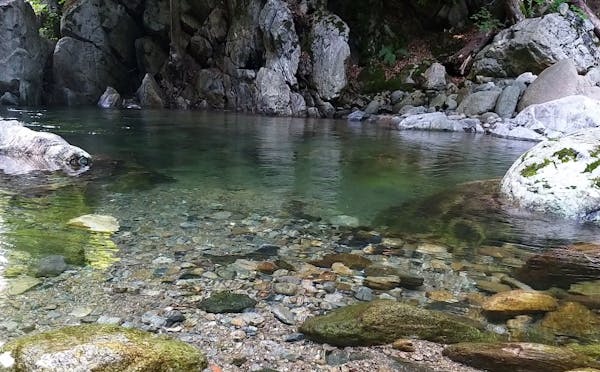 IL GORGOMORO