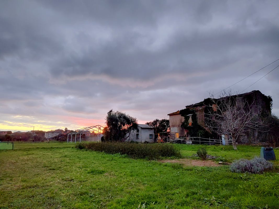 LA CASA DELL'ORTO DELLA CARITÀ OMG - PIANA DELL'ENTELLA LA CASA DELL'ORTO DELLA CARITÀ OMG - PIANA DELL'ENTELLA