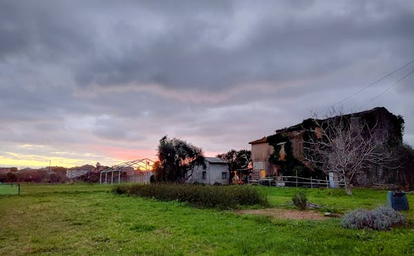 LA CASA DELL'ORTO DELLA CARITÀ OMG - PIANA DELL'ENTELLA