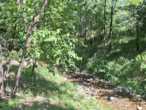 TORRENTE VEZZENO